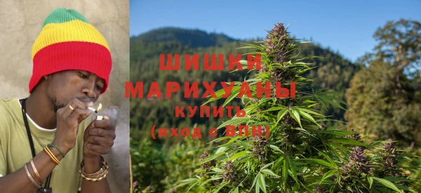 ГАЛЛЮЦИНОГЕННЫЕ ГРИБЫ Верхнеуральск